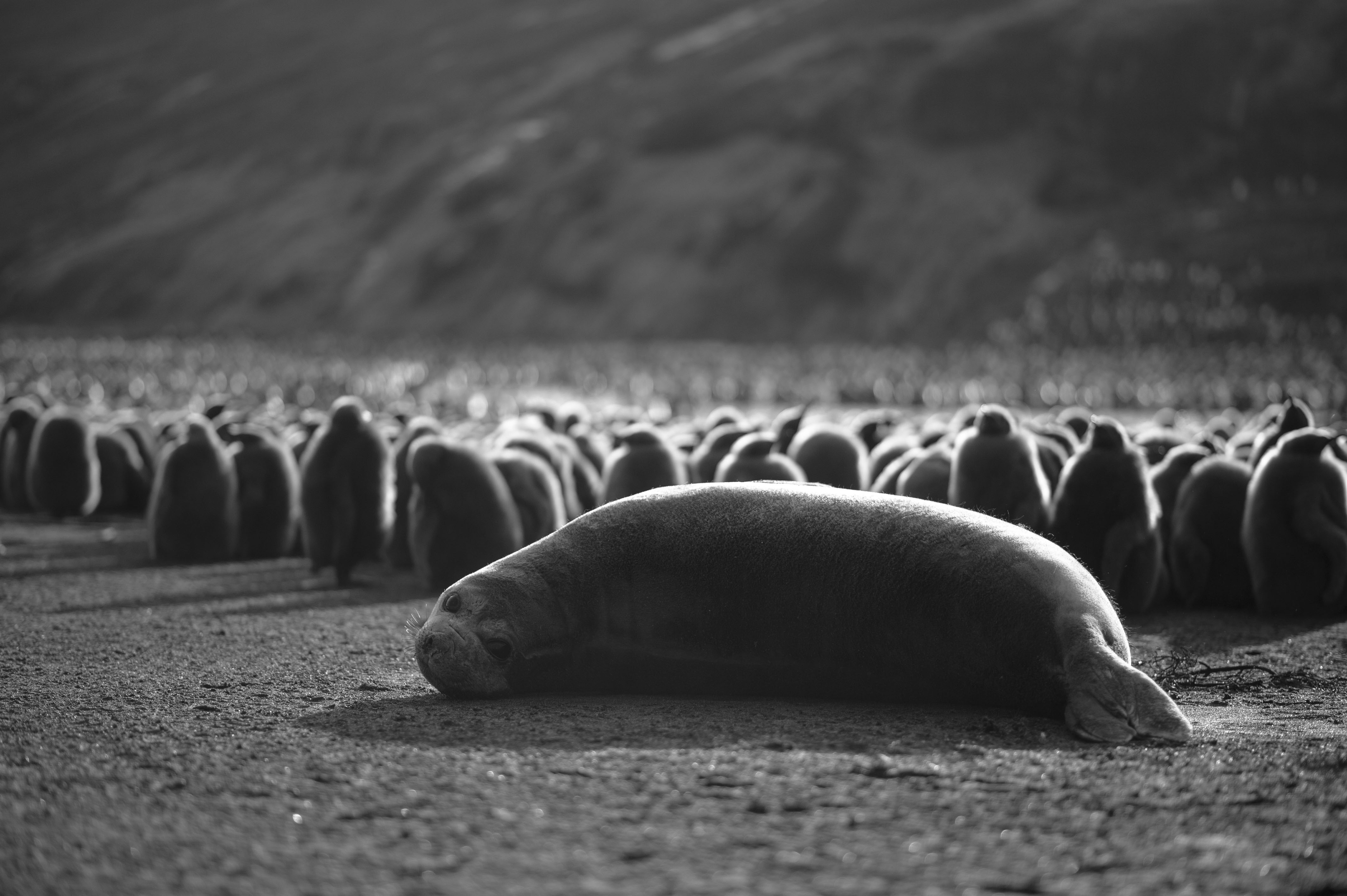 GYT 20220701 134503  DSC6259